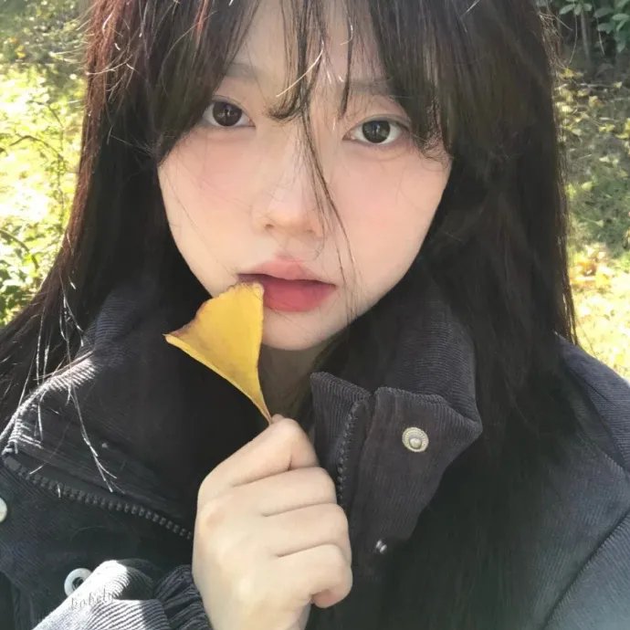 岁月神偷粤语